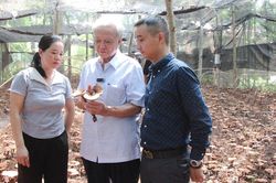 Nhà khoa học giúp nông dân trồng nấm quý