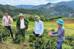 Cán bộ nắm cơ sở, kịp thời giải quyết vướng mắc