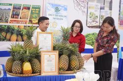 Gieo mầm nông nghiệp xanh