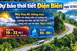 Bản tin Dự báo thời tiết ngày 12/10/2026