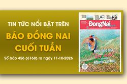 Tin tức nổi bật trên Báo Đồng Nai cuối tuần ra ngày 11-10-2026