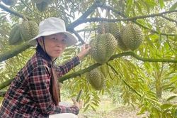 Hợp tác xã nông nghiệp Mỹ Tân: Phát triển theo hướng đa dạng sản phẩm, dịch vụ