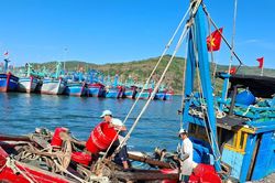 Chủ động thích ứng thời tiết, nâng cao hiệu quả khai thác hải sản