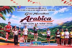 Sôi nổi Giải chạy Marathon 'Arabica' tỉnh Sơn La năm 2026