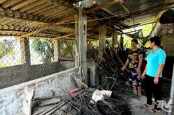 Chuyển đổi chăn nuôi trong khu dân cư: Có lộ trình để người dân thích ứng