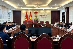 Gia Lai sắp có tổ hợp chăn nuôi heo công nghệ cao quy mô 2 triệu con