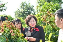 Phó Chủ tịch Quốc hội Nguyễn Thị Hồng thăm các mô hình nông nghiệp tiêu biểu tại Sơn La