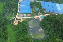 Trại lợn không khắc phục vi phạm về môi trường sẽ phải dừng nuôi