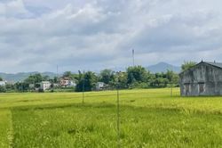 Ngày 12/10 không mưa, sáng sớm có sương mù nhẹ, đêm và sáng trời lạnh
