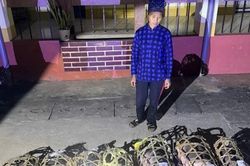 Xử lý 3 phụ nữ vận chuyển trái phép lợn giống qua xã biên giới Trà Lĩnh