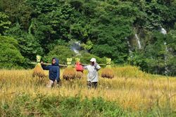 Bản làng vào tour. Kỳ 1: Những người 'đánh thức' bản làng