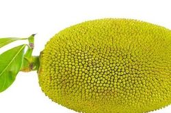 Món xưa chỉ dành cho 'nhà nghèo' nay thành đặc sản giá 50.000 đ/kg, làm nhiều món ăn ngon, tốt cho sức khỏe