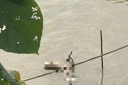 Phát hiện người đàn ông tử vong chưa rõ nguyên nhân ở sông Hồng: Hé lộ danh tính nạn nhân