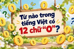 Câu đố mẹo khiến 99% người bó tay: Từ tiếng Việt nào chứa 12 chữ 'O?