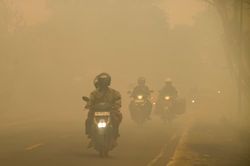 Nguyên nhân khói mù ở Đông Nam Á nghiêm trọng nhất trong 10 năm