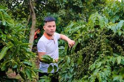 KOL người Ê Đê sẻ chia kiến thức khởi nghiệp, pháp luật cho buôn làng