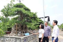 Thiên Lộc phát huy lợi thế ven đô, xây dựng nông thôn mới