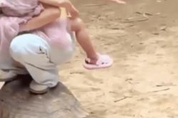 Du khách thản nhiên ngồi lên lưng rùa ở sở thú