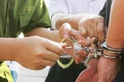 Người góp vốn vào doanh nghiệp có bị xử lý hình sự nếu Giám đốc công ty bị bắt?