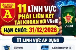 11 lĩnh vực phải liên kết tài khoản với VNeID trước ngày 31/12