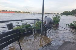 Khu biệt thự, hàng quán ven sông dềnh nước vì triều cường ở TP.HCM