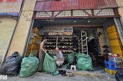 Sau những 'bao tải tiền đền bù' là cuộc tìm chỗ ở mới