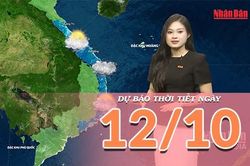 [Video] Dự báo thời tiết ngày 12/10/2026: Bắc Bộ nắng trở lại, Trung Bộ mưa lớn thu hẹp dần