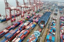Áp lực từ các cú sốc đối với kinh tế thế giới