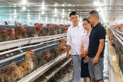 Bắc Ninh phát triển kinh tế tập thể hiện đại, hiệu quả