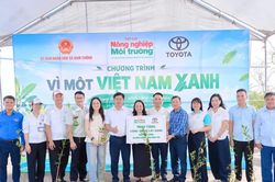 Chung tay kiến tạo những 'Lá chắn xanh' vùng ven biển Nam Cường