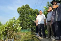 Cần Thơ rà soát các điểm đê xung yếu trước nguy cơ triều cường lập đỉnh lịch sử