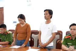 Quảng Ngãi: Khởi tố vụ án xâm phạm quyền sở hữu công nghiệp về sâm Ngọc Linh