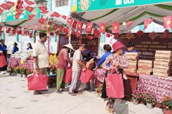Chăm lo sinh kế ở xã đảo Thạnh An