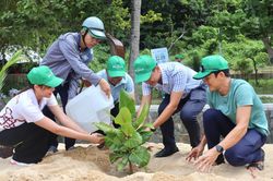 Một màu xanh, hai mặt trận