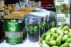 Bắc Ninh kiểm tra, giám sát chặt chẽ sản phẩm OCOP