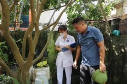 Hà Nội ghi nhận 400 trường hợp mắc sốt xuất huyết trong tuần qua