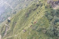 Nepal khẩn trương thực hiện công tác cứu hộ sau trận lũ quét mới