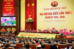 Phối hợp bảo đảm chủ động, thường xuyên, kịp thời, chặt chẽ, đồng bộ, hiệu quả