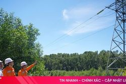 Hà Tĩnh nâng cao độ tin cậy lưới điện trước mùa mưa bão