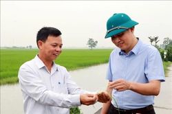 Phát huy vai trò tiên phong của đảng viên ở cơ sở