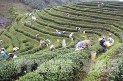 Kết nối du lịch nông thôn với OCOP, mở rộng đầu ra nông sản