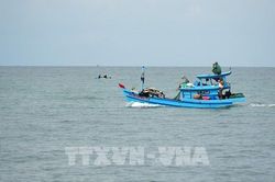 An Giang tăng tốc xuất khẩu, phấn đấu đạt mục tiêu trên 2,6 tỷ USD