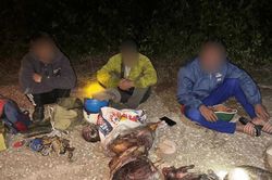 Phát hiện 3 người vận chuyển động vật nghi là tê tê, hoẵng