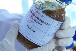 Quảng Ngãi: Bệnh nhân ngộ độc tăng lên 135 ca, tỉnh chỉ đạo khẩn