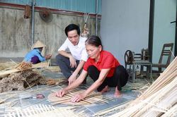 Người trẻ về quê dựng nghiệp