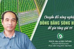 Chuyển đổi nông nghiệp Đồng bằng sông Hồng để gia tăng giá trị