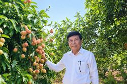Những nông dân dám nghĩ, dám làm