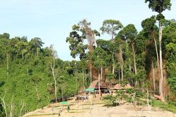 Đánh thức tiềm năng du lịch sinh thái Vườn quốc gia Sông Thanh