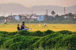 Mời doanh nghiệp tham gia xúc tiến du lịch tại Ấn Độ