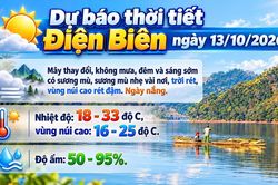 Bản tin Dự báo thời tiết ngày 13/10/2026